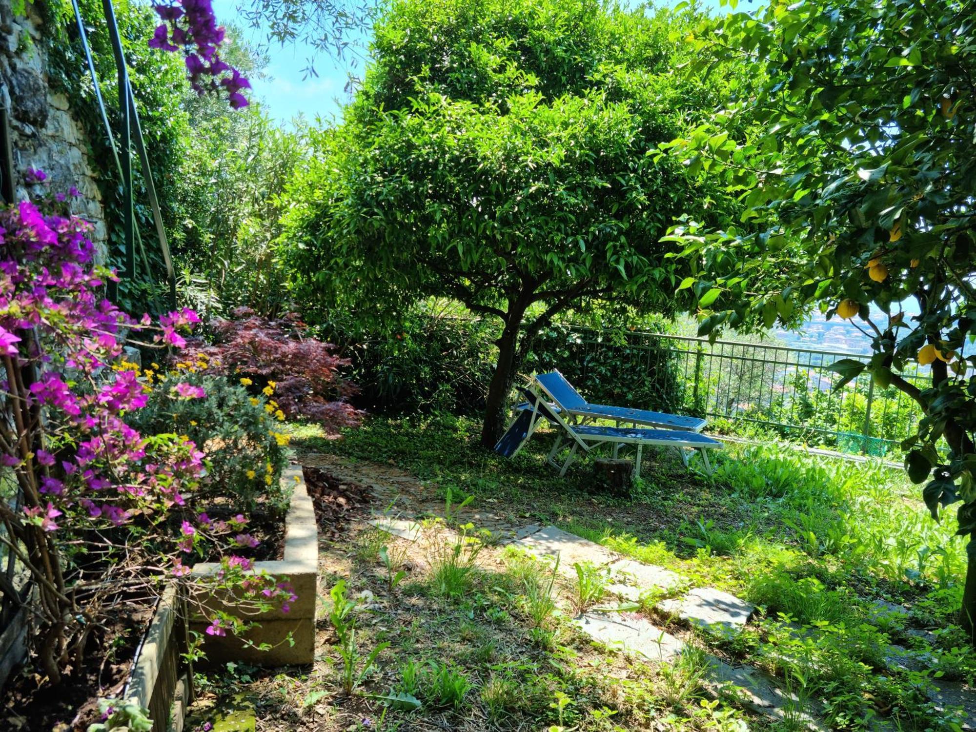 B&B La Terrazza Sui Fieschi Cogorno Dış mekan fotoğraf