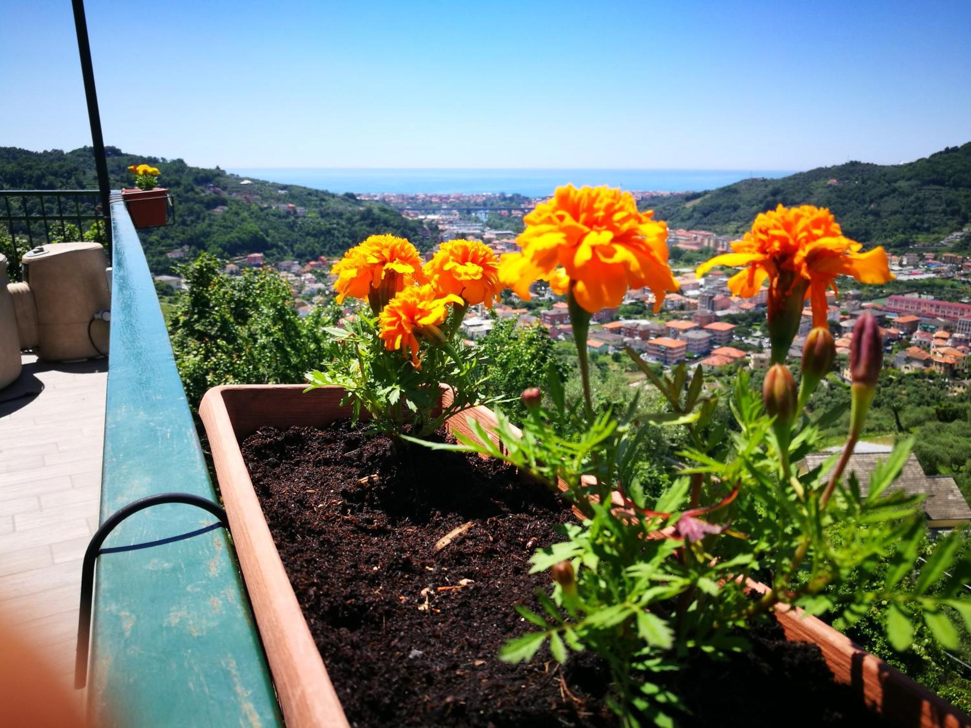 B&B La Terrazza Sui Fieschi Cogorno Dış mekan fotoğraf
