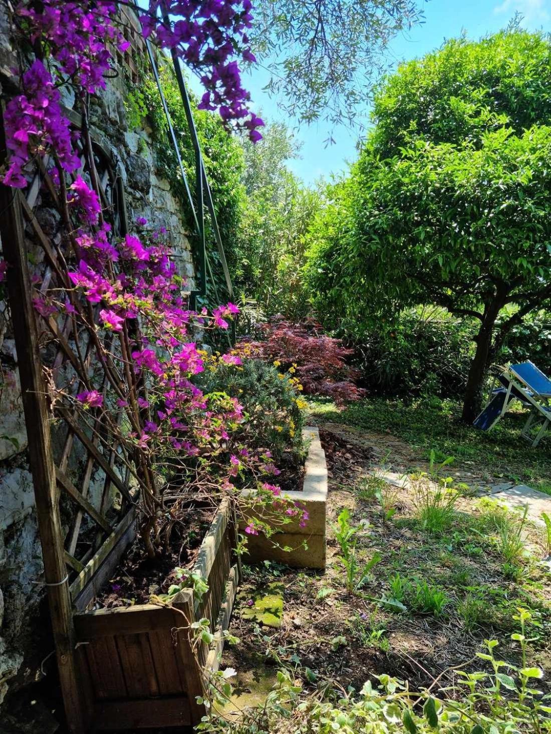 B&B La Terrazza Sui Fieschi Cogorno Oda fotoğraf